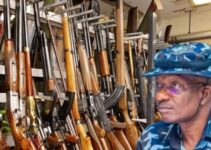 IGP Kayode Egbetokun Calls for Private Investigation into Missing Firearms