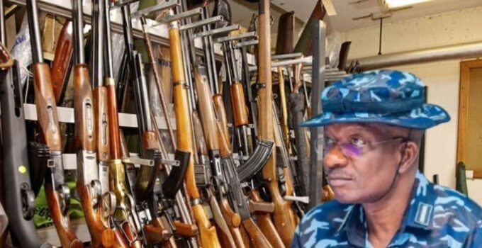 IGP Kayode Egbetokun Calls for Private Investigation into Missing Firearms