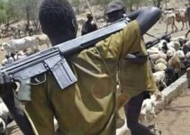 19 Lost Lives in Recent Herdsmen Attacks on Benue Communities, Bodies Disposed in River