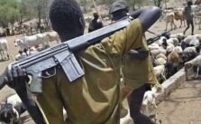 19 Lost Lives in Recent Herdsmen Attacks on Benue Communities, Bodies Disposed in River