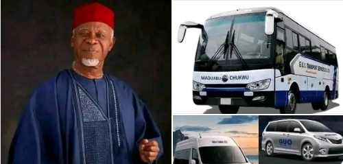 Meet Billionaire G.U. Okeke: Visionary Behind GUO Motors