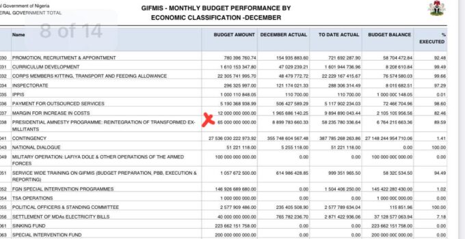 Nigeria Allocated N58 Billion for the Reintegration of ‘Transformed Ex-Militants’ in 2024, Including N8.8 Billion in December Alone