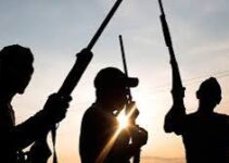 Gunmen Kill Family of Five in Plateau