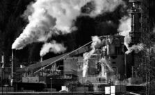 Two Titles Exploring Climate Change and More