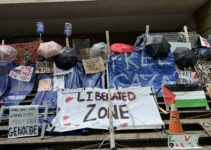 Repression and Activism: College Responses Amid Ongoing Gaza Solidarity Efforts