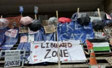 Repression and Activism: College Responses Amid Ongoing Gaza Solidarity Efforts