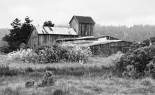 Why Rural Americans Have Shorter Life Expectancies than Urban Residents