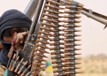 Malian Authorities Confirm Death of 25 Civilians at the Hands of Jihadist Insurgents