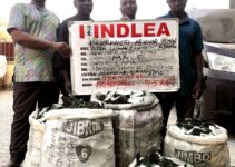 Nigeria’s Drug Agency Targets Cross-Border Drug Cartel, Apprehends Suspects