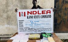 NDLEA Detains 75-Year-Old Man and Confiscates Illegal Substances in Kano