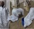 Portable Seen Praying at a White Garment Church During Ongoing Struggles with Ogun Government and Police