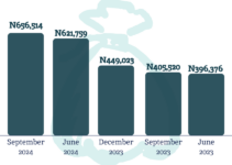 RipplesMetrics: N142TN Debt Explained – Nigeria’s Government Has Borrowed N656,614 for Every Citizen in a 216 Million Population