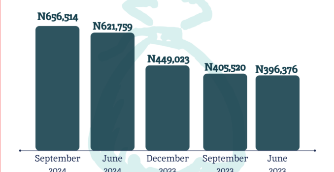 RipplesMetrics: N142TN Debt Explained - Nigeria's Government Has Borrowed N656,614 for Every Citizen in a 216 Million Population