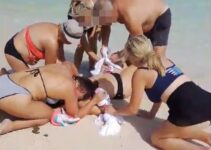 Shark Severely Injures Woman’s Hands While She Attempts to Take a Photo