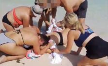 Shark Severely Injures Woman's Hands While She Attempts to Take a Photo
