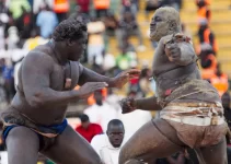 Senegal Prohibits Security Oversight at Wrestling Events Following Fatal Arena Violence