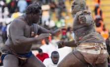 Senegal Prohibits Security Oversight at Wrestling Events Following Fatal Arena Violence