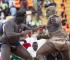 Senegal Prohibits Security Oversight at Wrestling Events Following Fatal Arena Violence