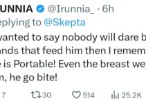 UK Rapper Skepta Awaits Portable’s Online Challenge After Nigerian Singer Calls Out His Former Collaborators