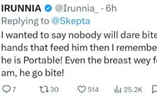 UK Rapper Skepta Awaits Portable's Online Challenge After Nigerian Singer Calls Out His Former Collaborators