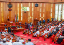 Senate to Probe Allegations by Niger Republic Leader Against Nigeria