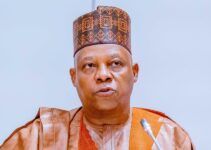 VP Shettima: Nigeria’s Healthcare System Earns International Recognition