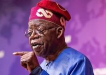 Tinubu urges African leaders to adopt a homegrown development model