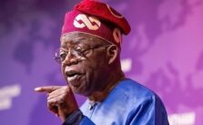 Tinubu urges African leaders to adopt a homegrown development model