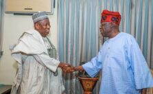 Ganduje Predicts Tinubu's 2027 Re-election, Foresees Power Shift Back to Northern Nigeria Afterwards