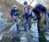 Nearly 300 Trout Saved from Palisades Fire Burn Scar, but Watershed Recovery May Take a Decade