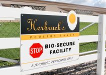 On the Front Lines of the Bird Flu Battle: Egg Farmers Report Losing Ground