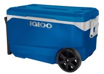 Igloo Issues Recall of Over 1 Million Coolers After Fingertip Amputation Reports