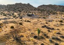 Concerns Rise Among Locals and Environmentalists Over Secret Land Acquisitions in Joshua Tree National Park