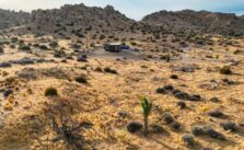 Concerns Rise Among Locals and Environmentalists Over Secret Land Acquisitions in Joshua Tree National Park