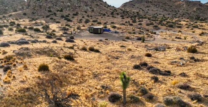 Concerns Rise Among Locals and Environmentalists Over Secret Land Acquisitions in Joshua Tree National Park