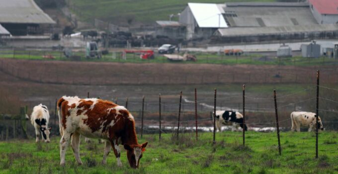 Can Genomic Surveillance of Sewers Help Detect Contagious Bird Flu?