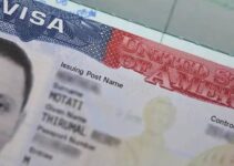 Nigerian Government Commits to Diplomatic Response as U.S. Suspends Drop Box Visa Renewals for Nigerians