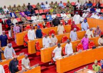 Lagos Assembly Clarifies DSS Presence: Operatives Invited for Security Purposes, Not to Seal Offices