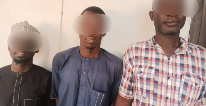 Adamawa Police Arrest Three Suspects for Allegedly Vandalizing Transformer Cables