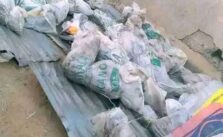 17 Students Die in Fire at Zamfara Islamic School