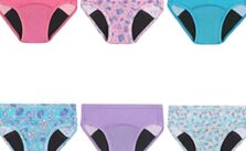 Hanes Girls' Toddler Potty Trainer Briefs – Save 29% Now!