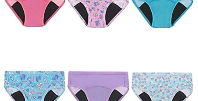 Hanes Girls' Toddler Potty Trainer Briefs – Save 29% Now!