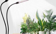 GooingTop LED Grow Light - Enjoy 33% Discount Today!