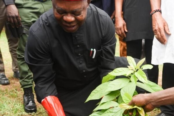 Checking Desert Encroachment is a Fight For All Africans, Onyeme