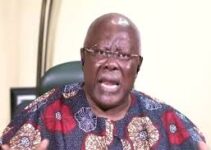 Bode George: APC is Merely a Collection of Unlikely Allies