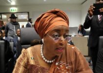 Court Approves Diezani’s Appeal Against Forfeiture Order