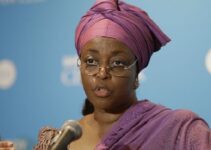 Diezani Challenges EFCC Over Sale of Her Seized Assets