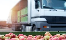 Exports Declined by 2.2% Last Year