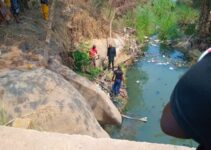 Woman with suspected mental health issues dies after leaping into river in Ekiti.