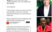 South African Politician Julius Malema Critiques Elon Musk After His Call to Label Him an 'International Criminal'